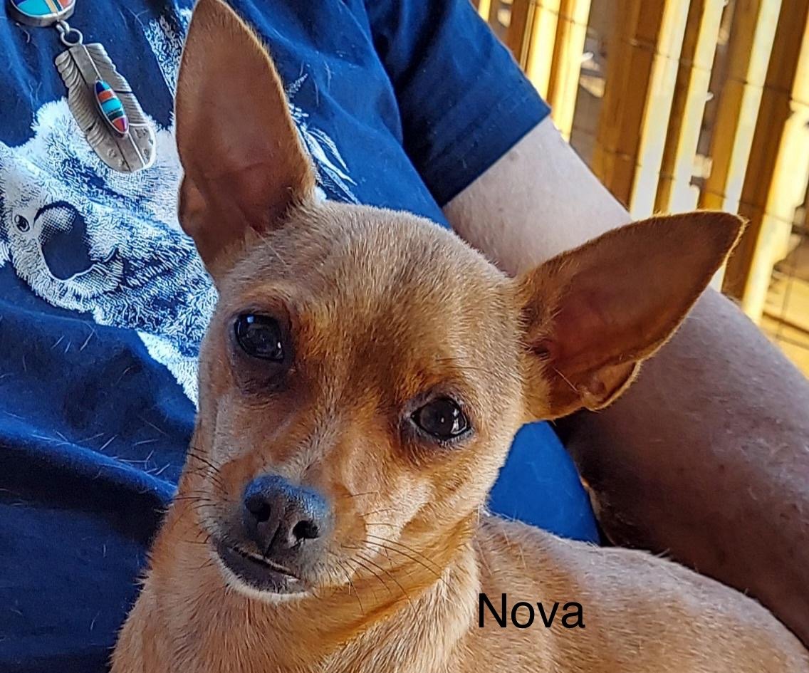 Nova2.jpg