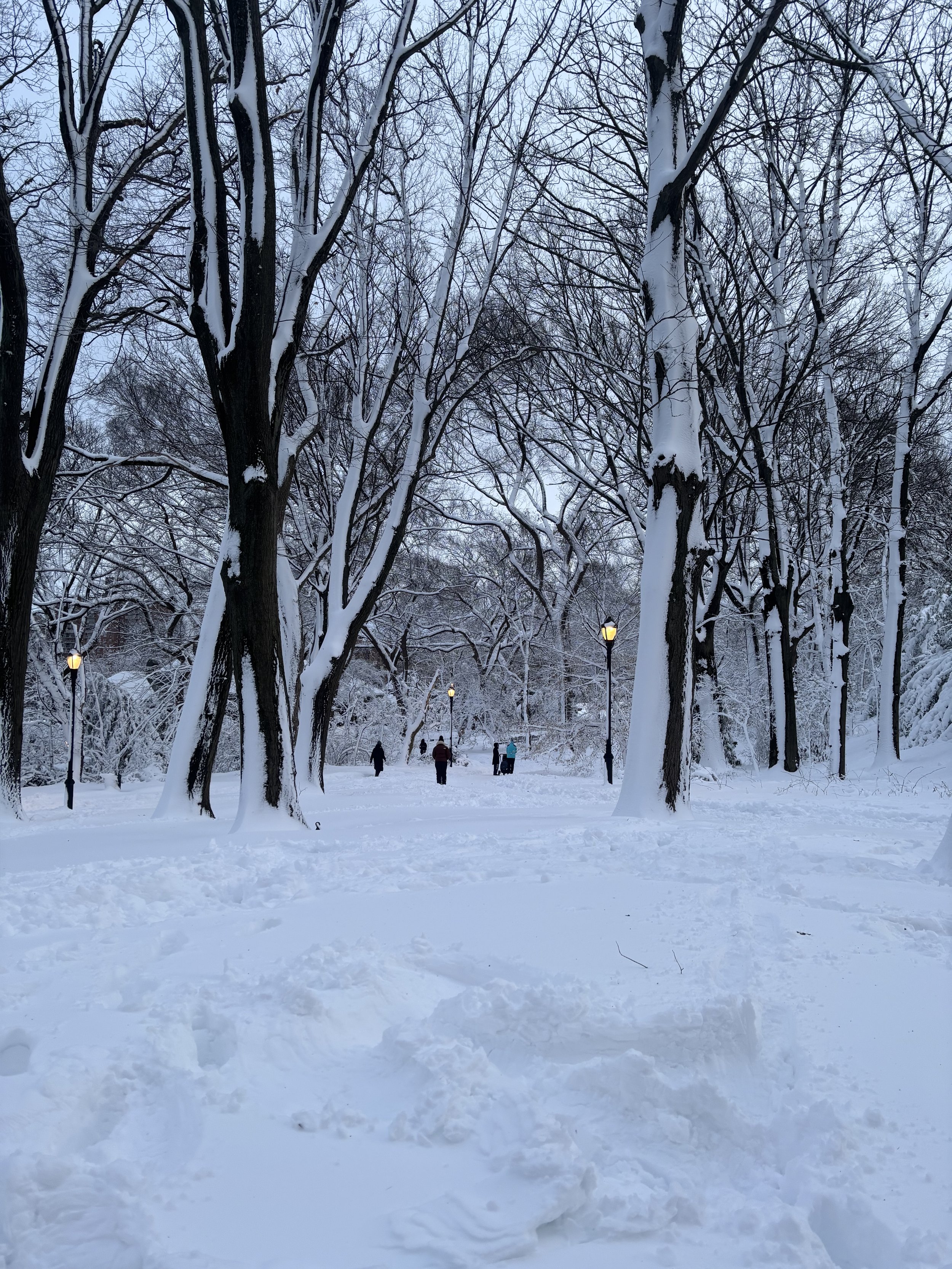 Recital with Erika Switzer