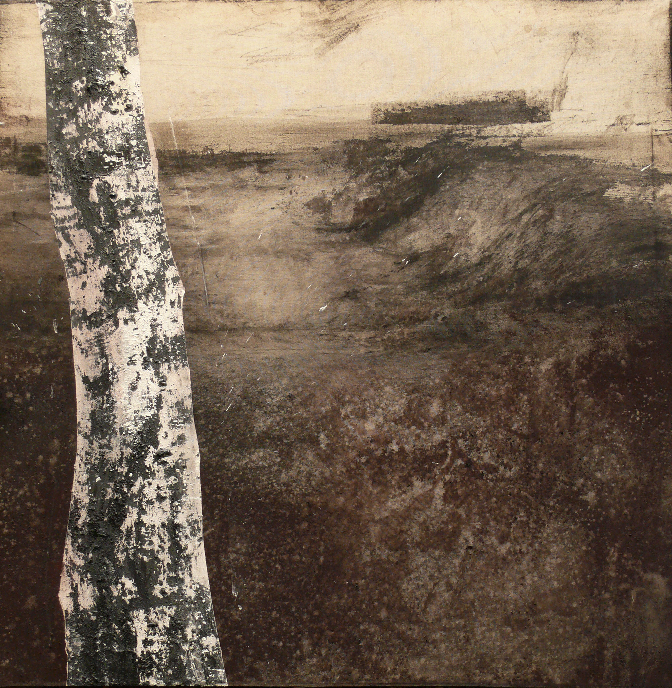 BETULLA - 100x100cm - pigmets and tempera on canvas - 2008 copy.jpg