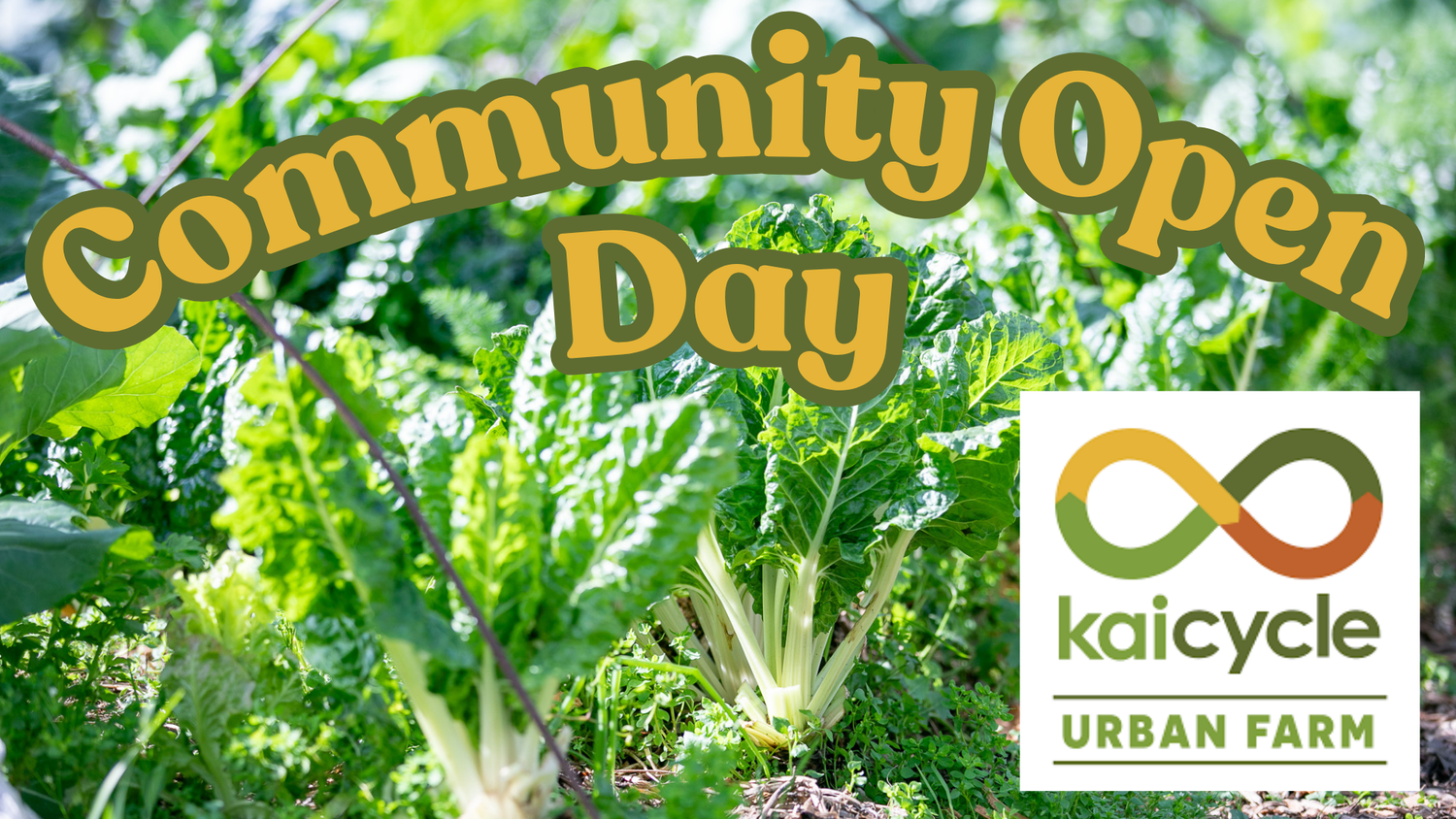 Kaicycle Community Open Day