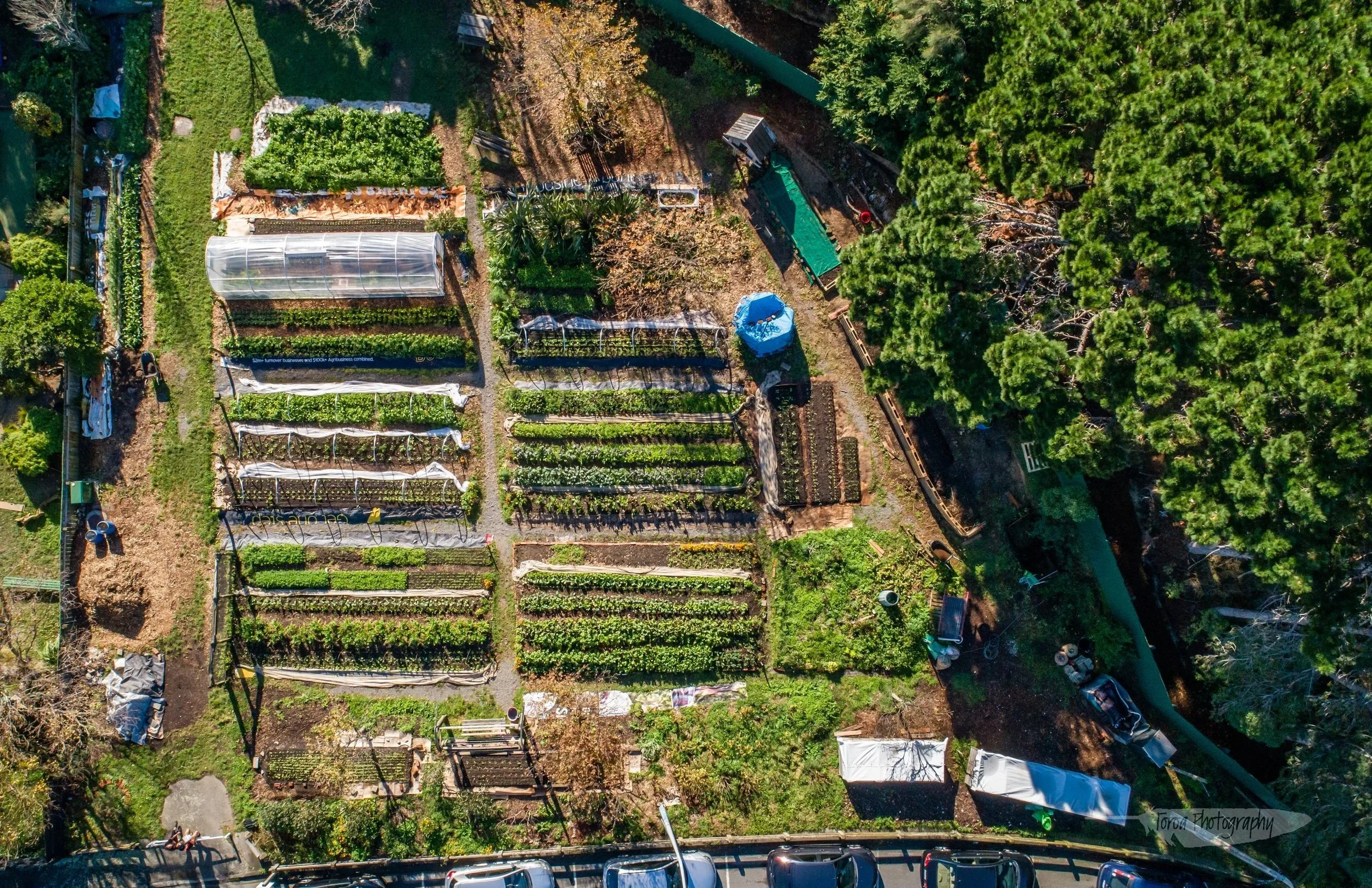 Aerial view of the farm