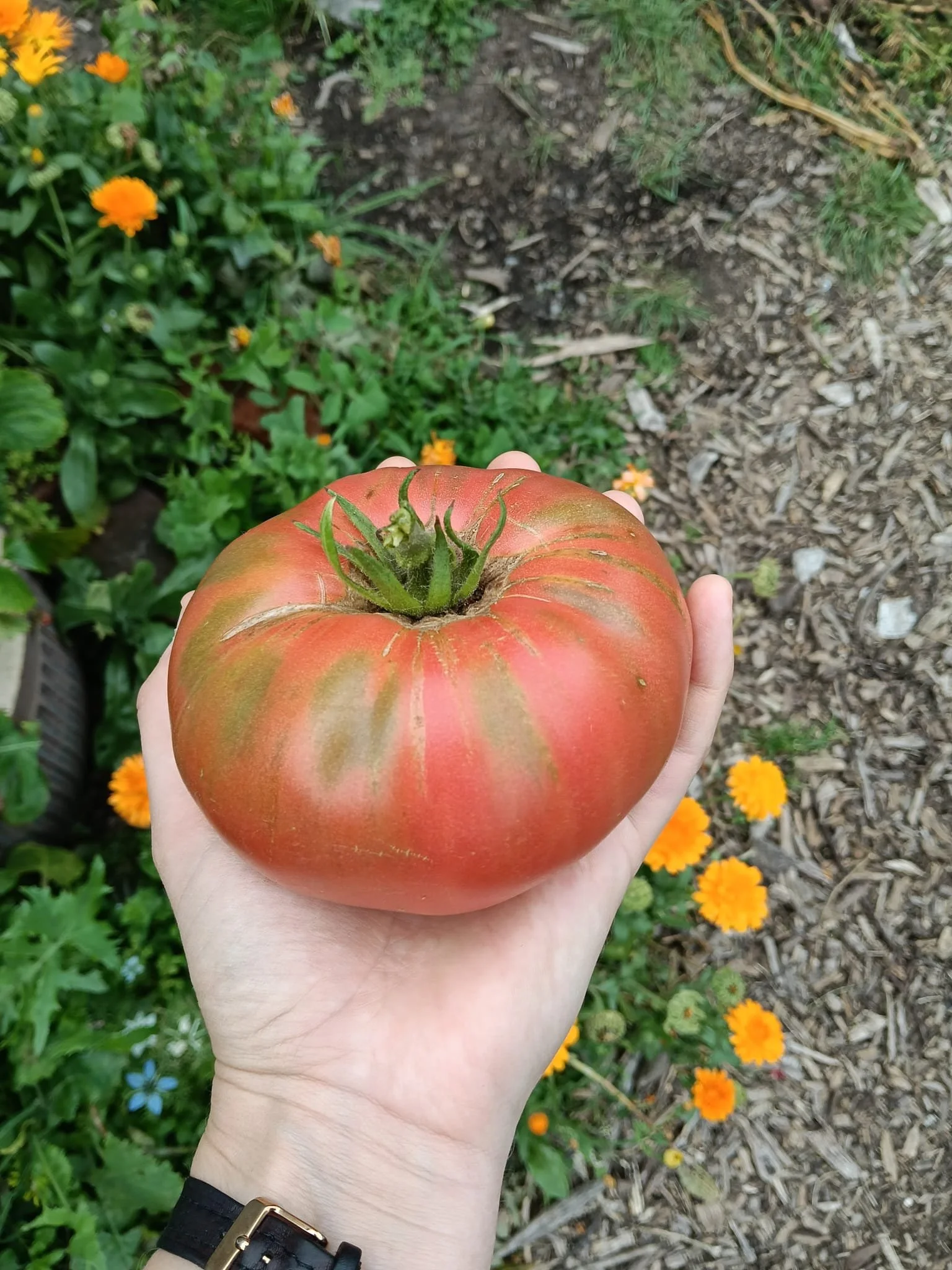 WhatsApp Image 2026-02-19 at 14.45.33.jpeg