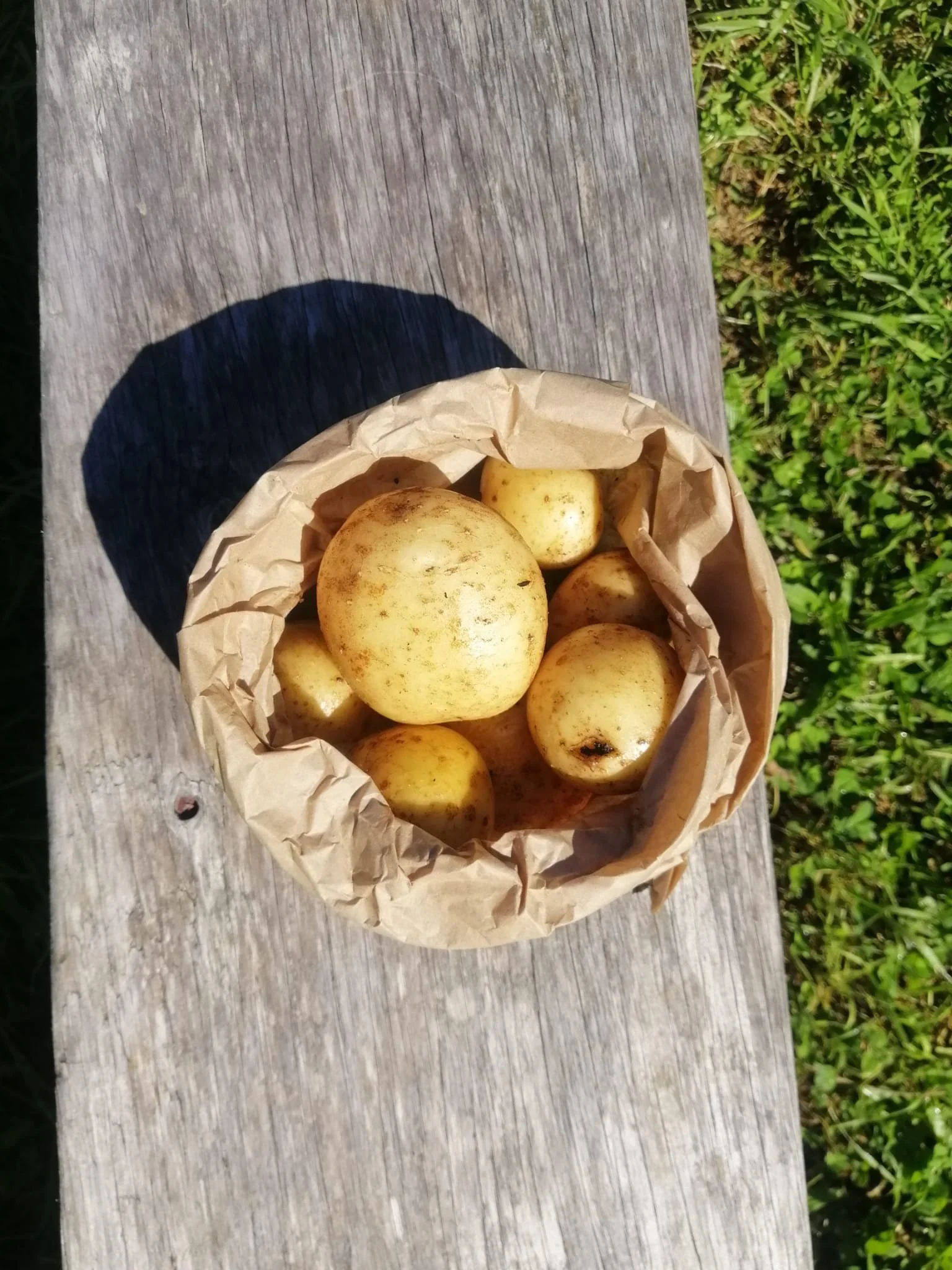 500g potatoes (1).jpeg
