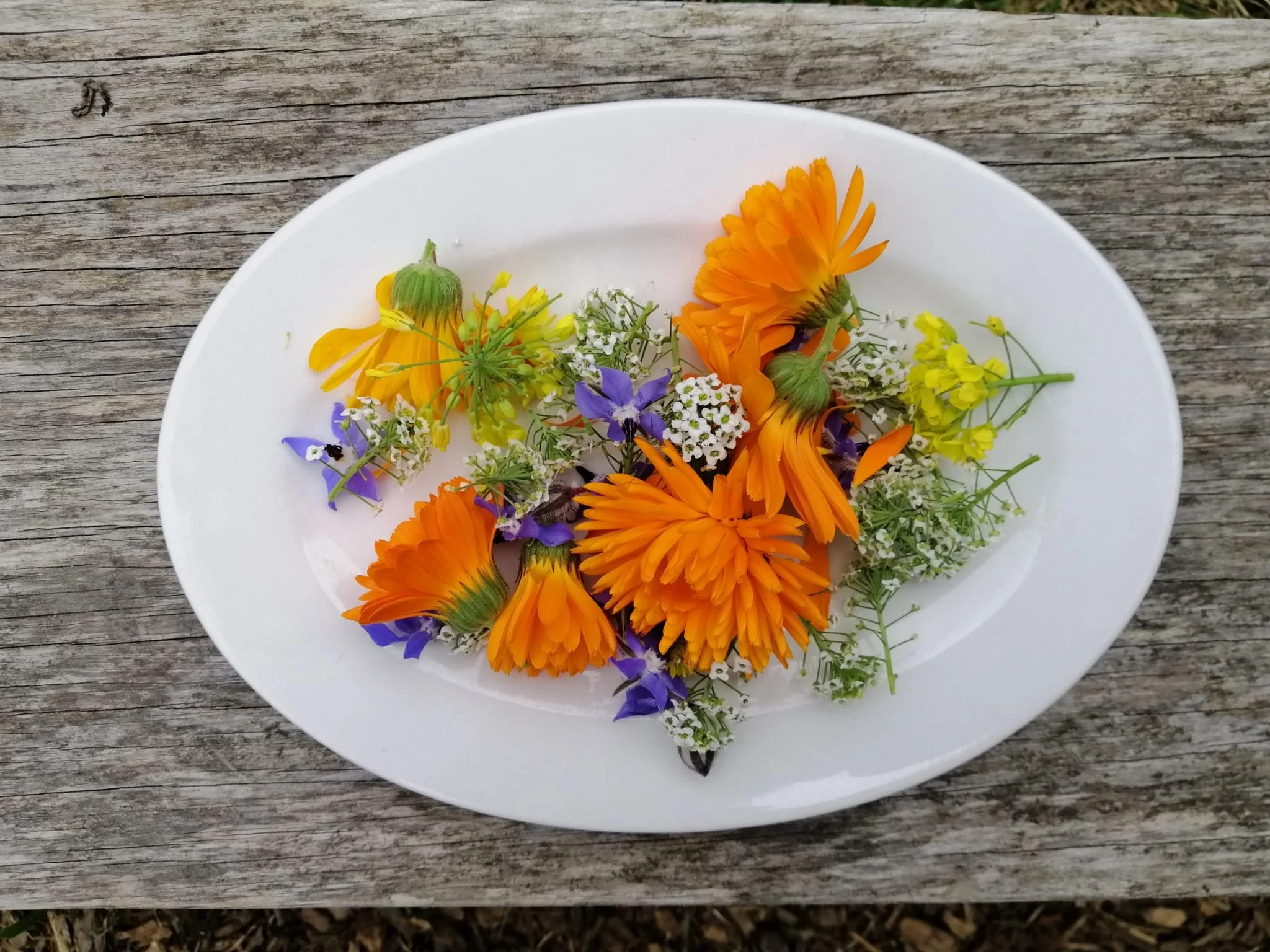 Edible flower mix (1).jpeg