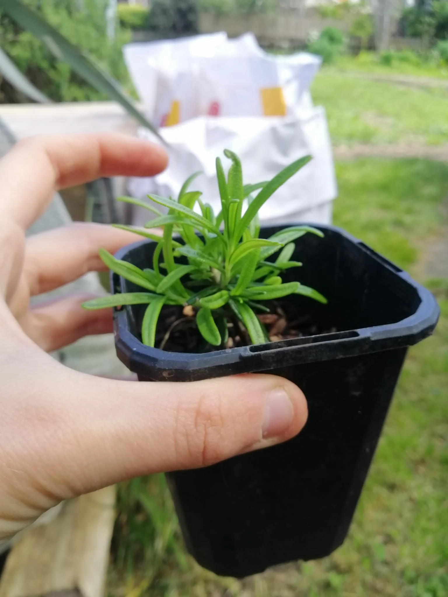 Growing From Cuttings Workshop