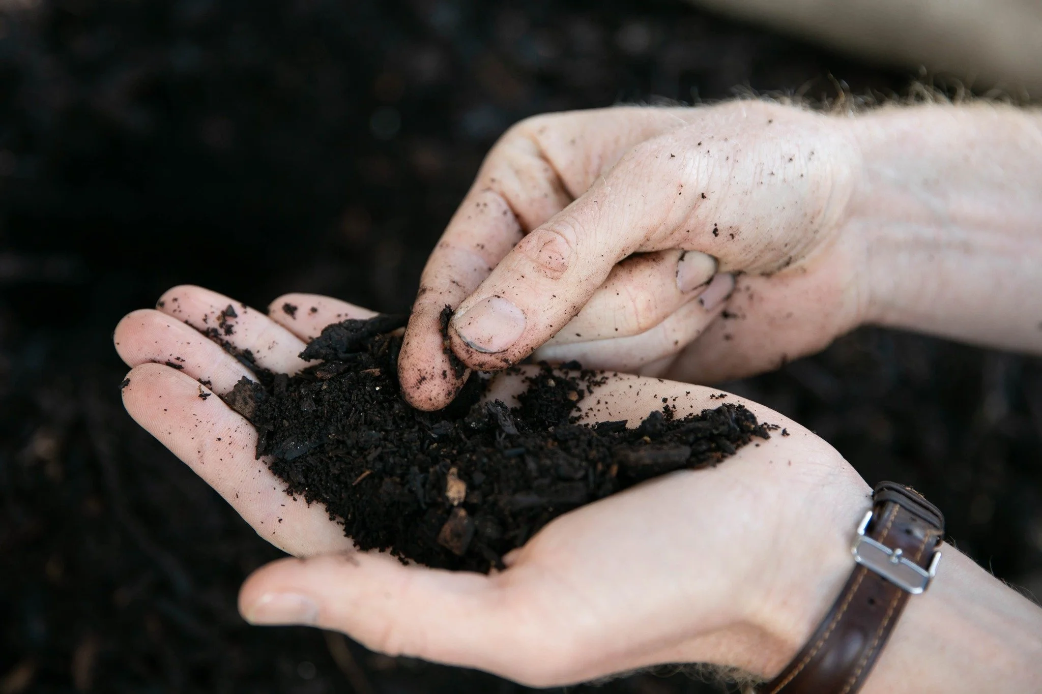 Every year, thousands of tonnes of food waste are still being sent to landfill in Te Whanganui-a-Tara, creating methane emissions and wasting valuable resources that could instead regenerate soil and nourish communities. While Wellington City Council