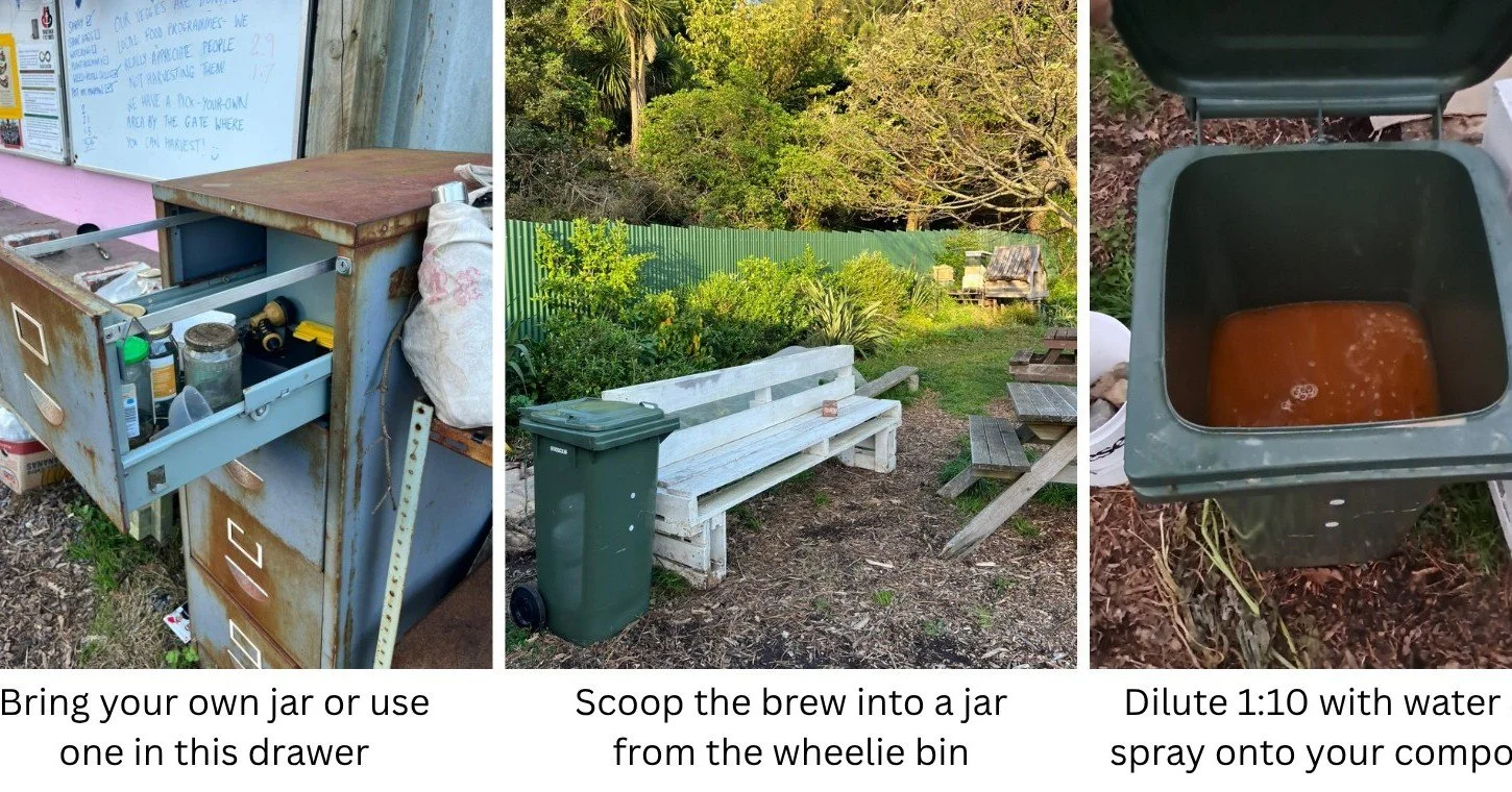 FREE Inoculant to Supercharge Your Compost

Last month Liam and Alex ran a composting workshop as part of the Pōneke Climate Festival &amp; Compost Awareness Week. We learnt about the benefits and science of composting, and how different methods impa