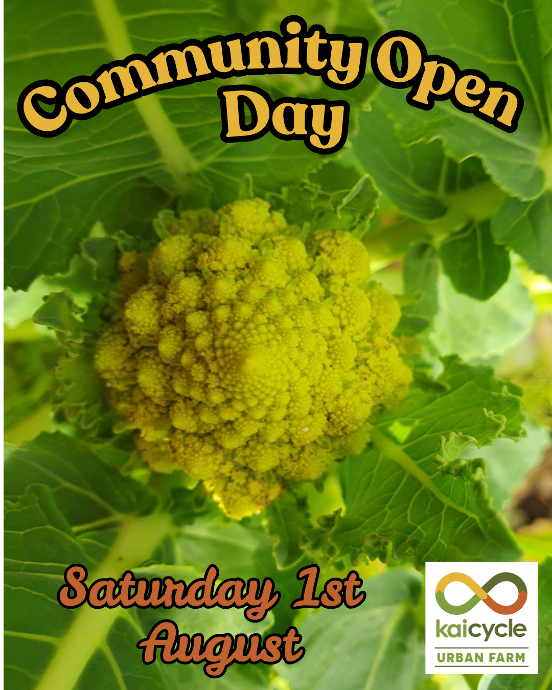 Ākuhata / August Community Open Day