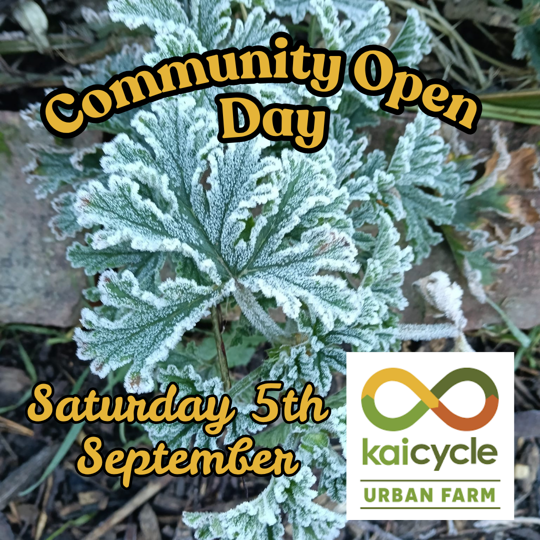 Hepetema / September Community Open Day