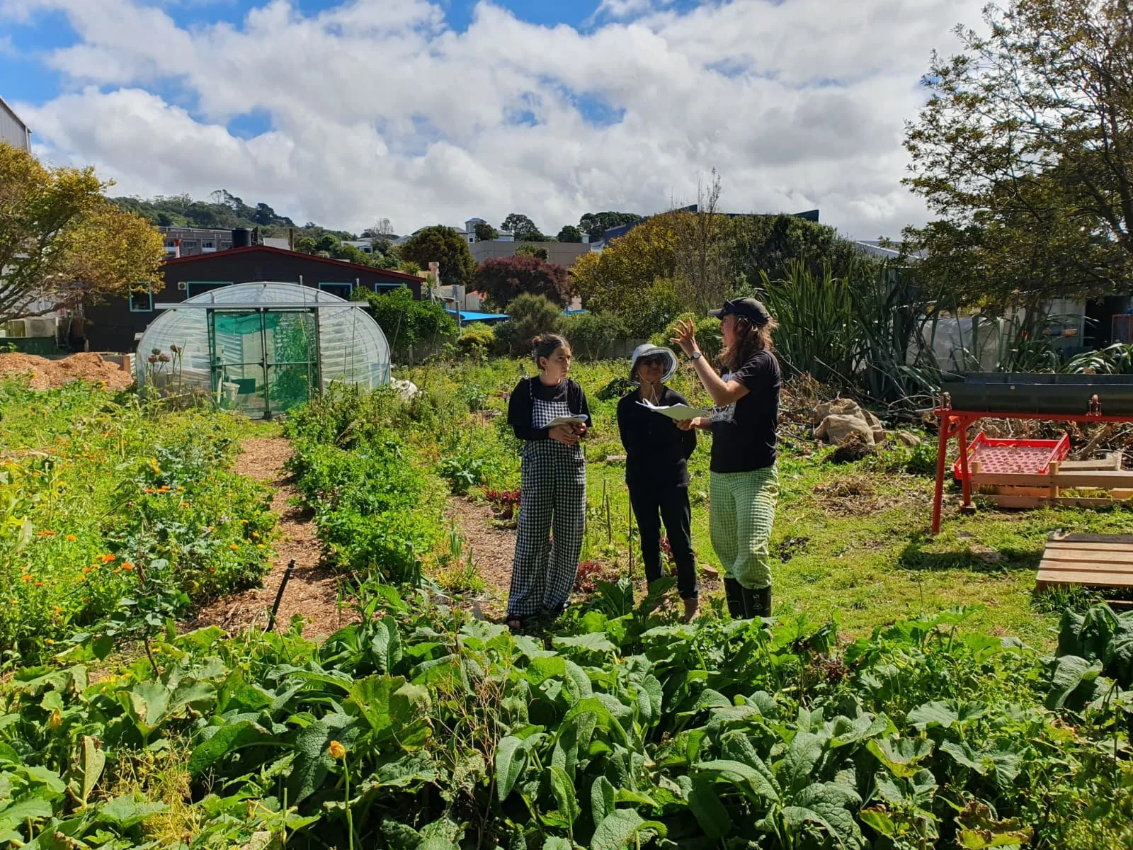 Oketopa / October Community Open Day