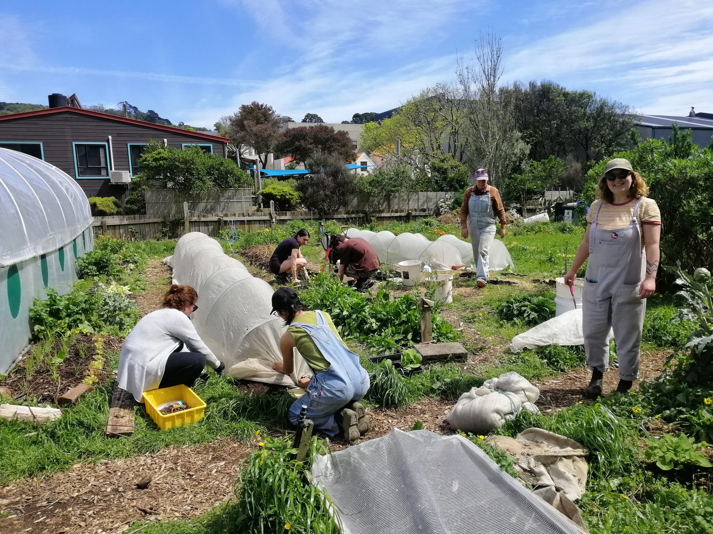 A day in the life of an urban farmer