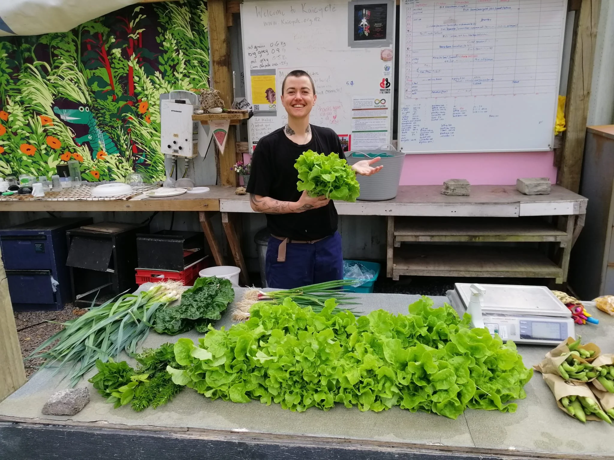 Rufus helping with our early morning harvest for the Kai Ora Collective