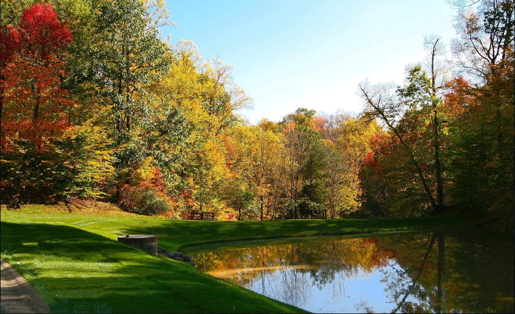 Glencairn Forest Upscale Real Estate In A Nature Preserve