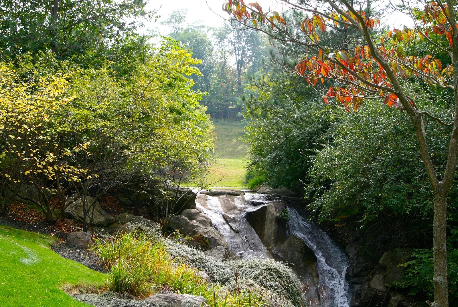 Glencairn Forest Upscale Real Estate In A Nature Preserve