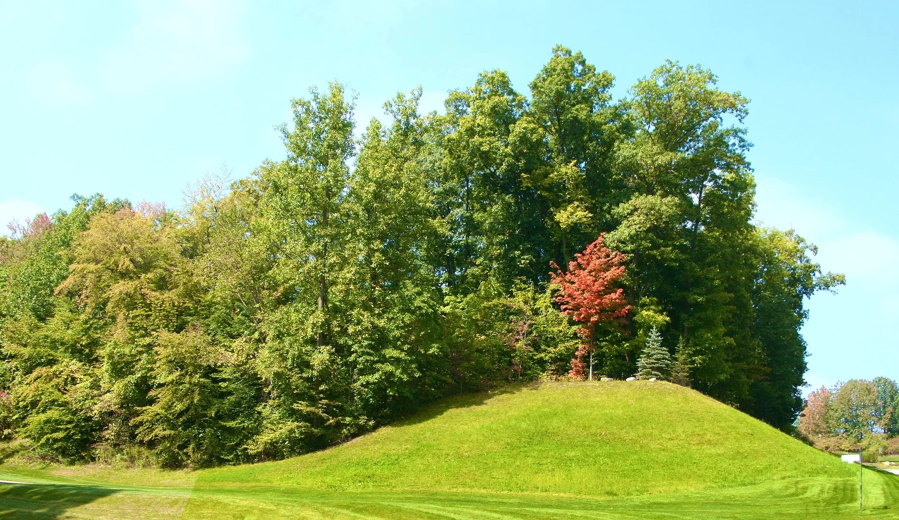 Gallery — Glencairn Forest