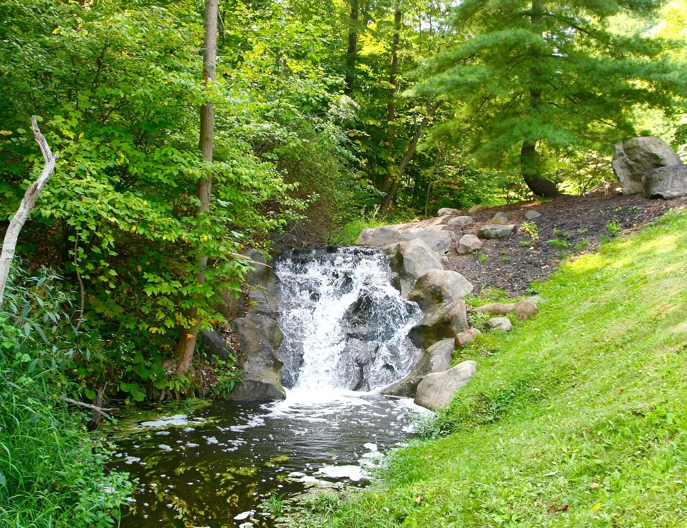 Gallery — Glencairn Forest