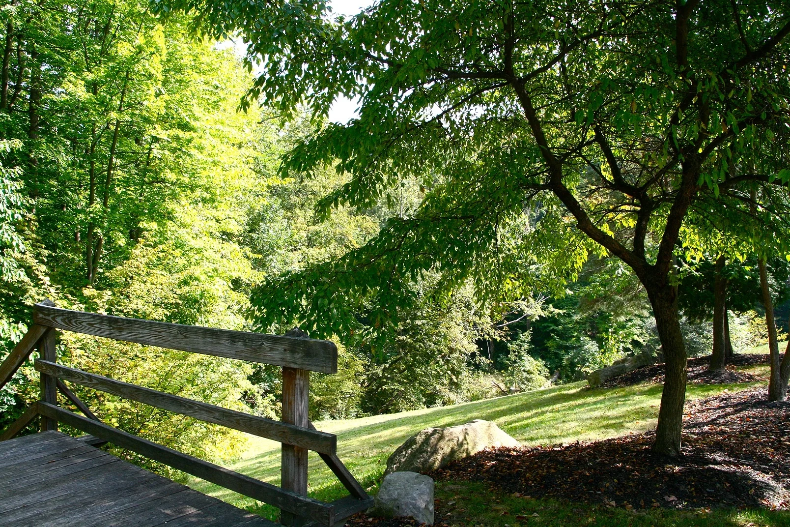 Gallery — Glencairn Forest