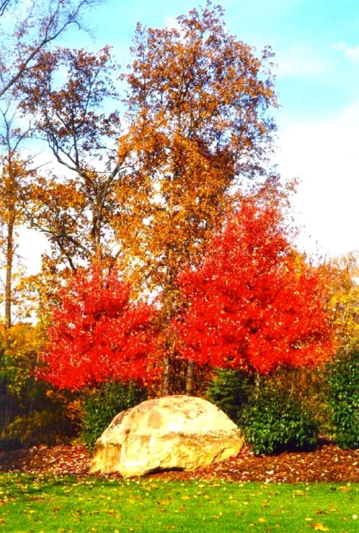 Gallery — Glencairn Forest