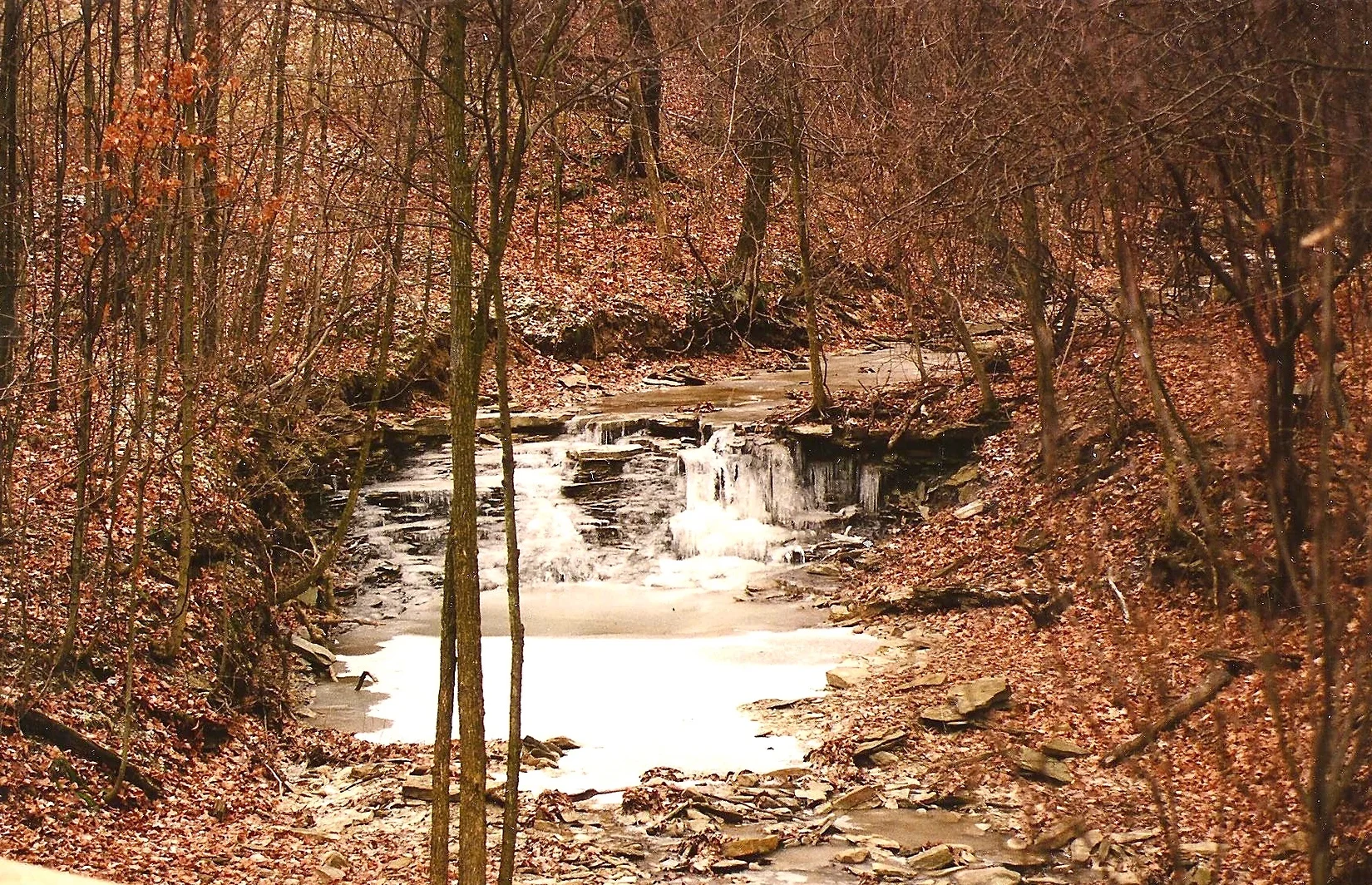 Gallery — Glencairn Forest