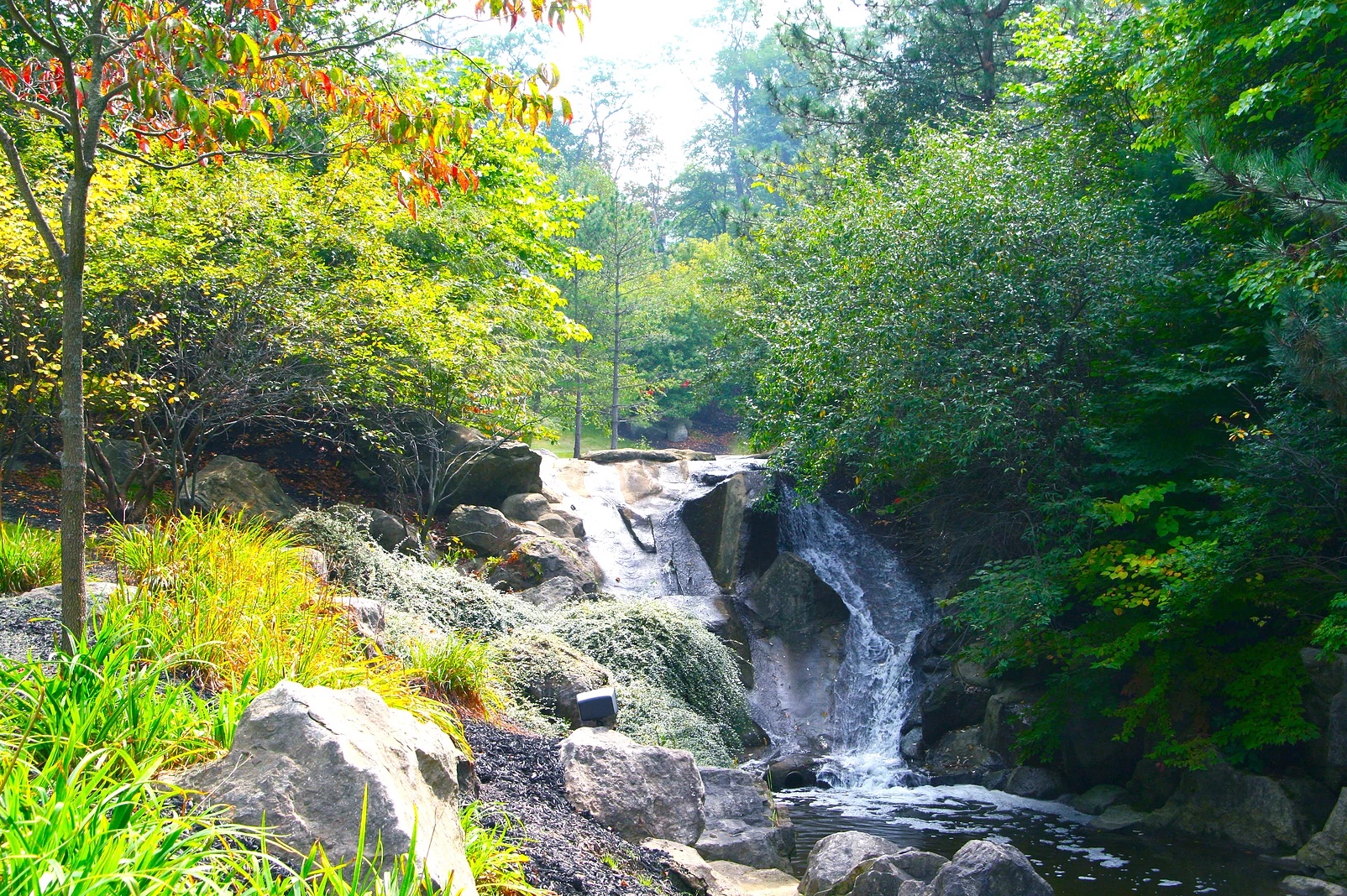 About — Glencairn Forest