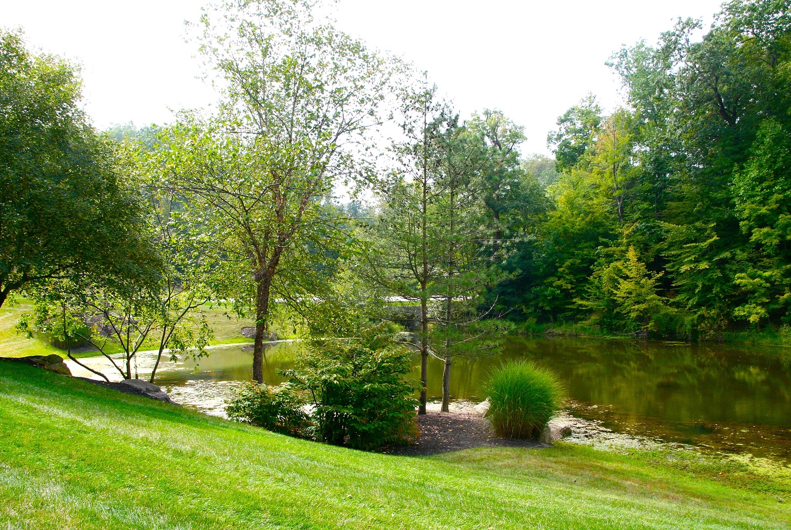 Glencairn Forest Upscale Real Estate In A Nature Preserve