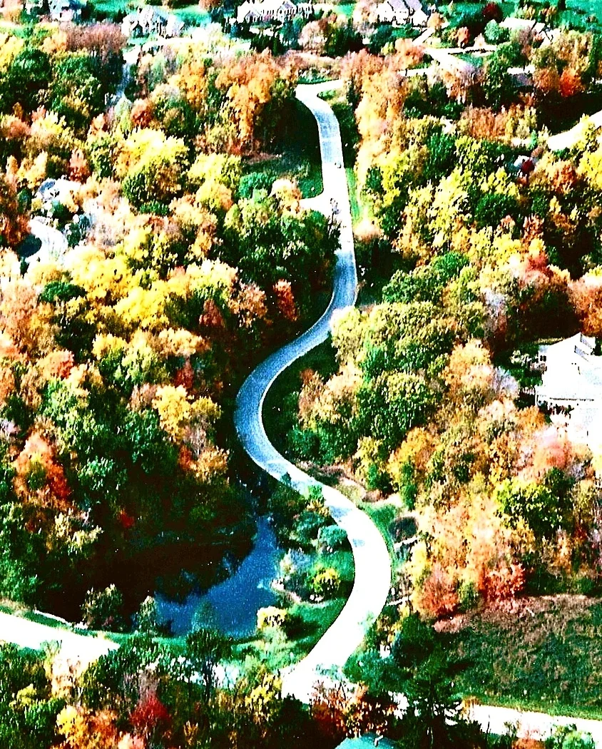 Glencairn Forest Upscale Real Estate In A Nature Preserve