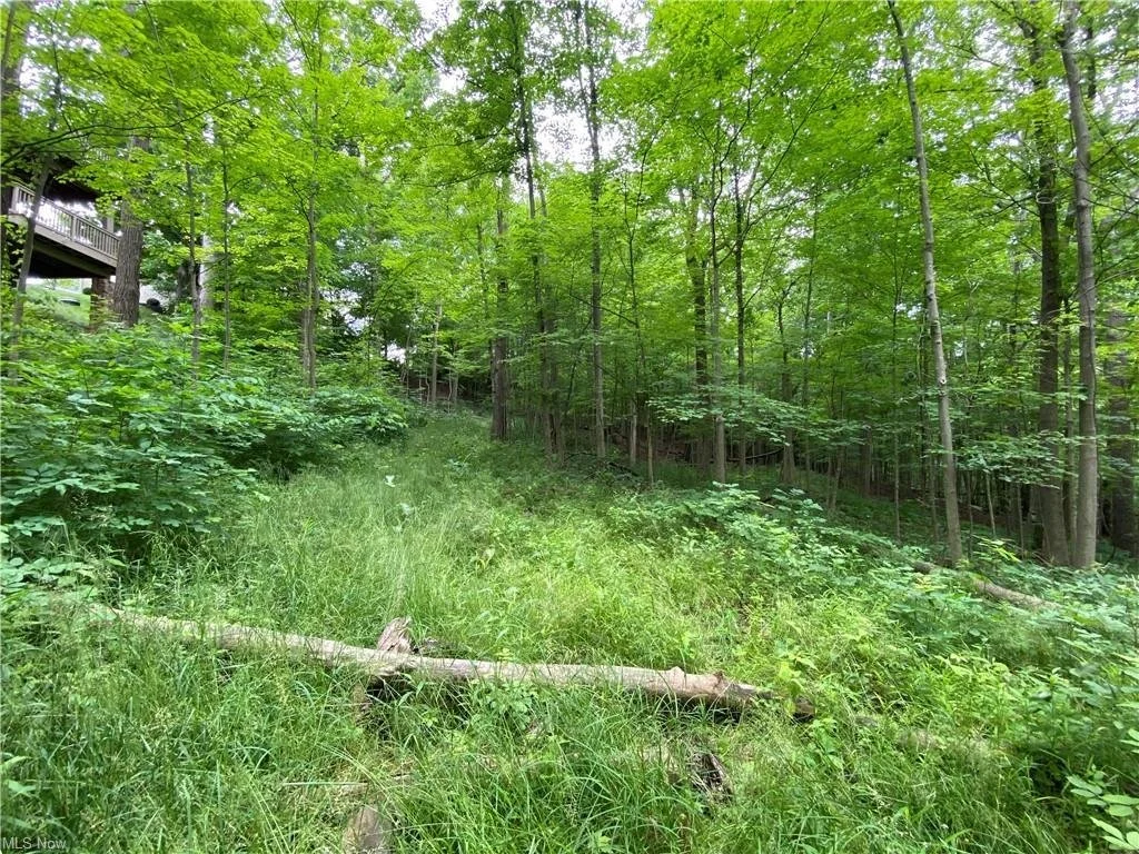 LOT 200 — Glencairn Forest