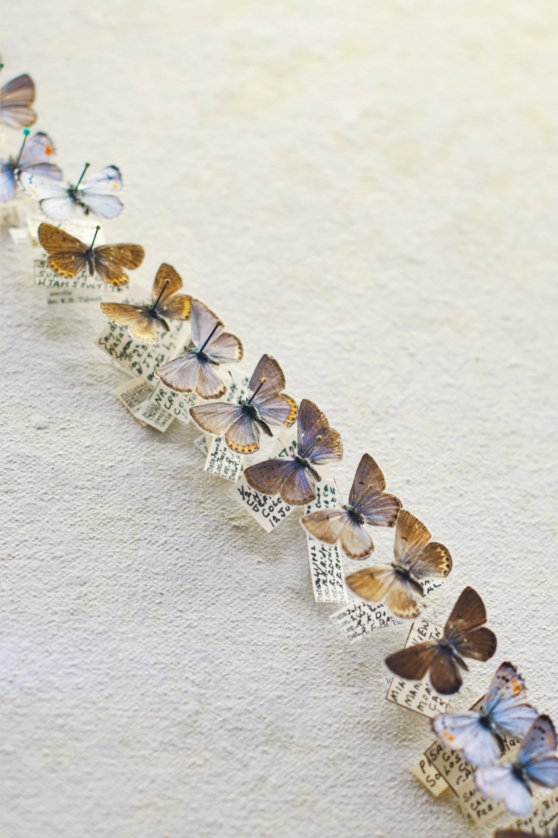 Think Again – Don’t Fool Yourself