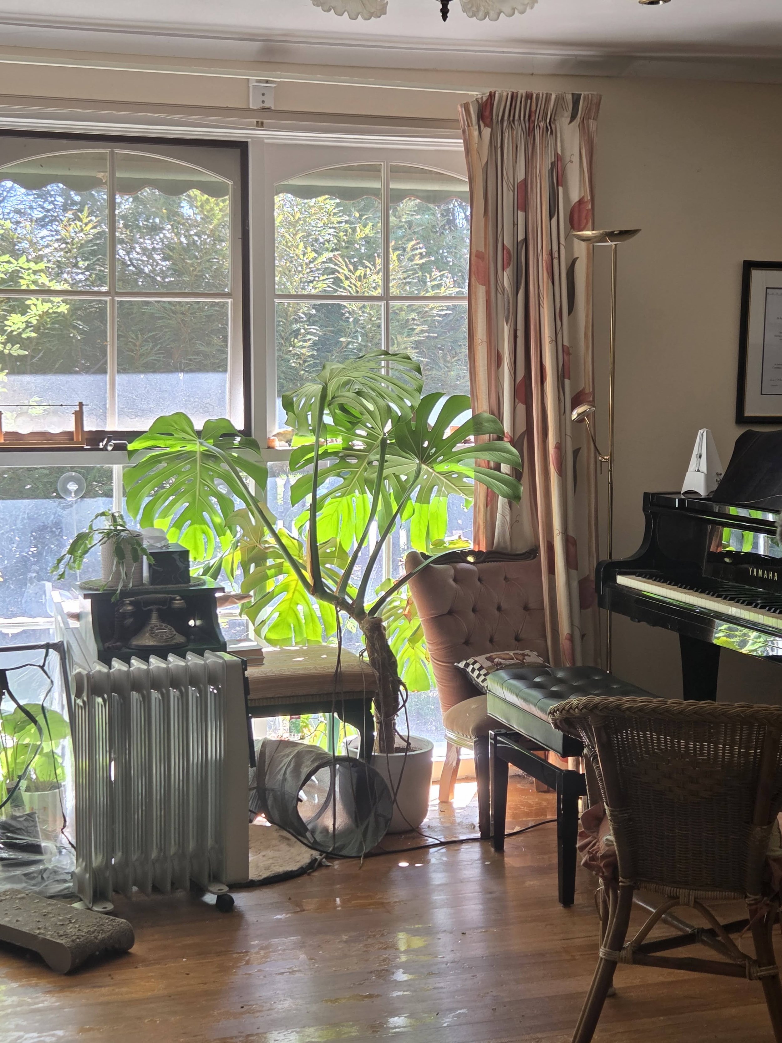 Peaceful day with the piano