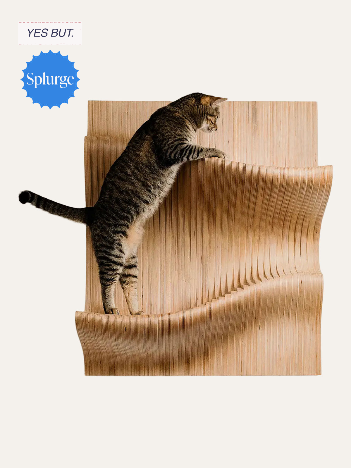 A tabby cat climbing a wooden structure with wavy design, against a plain background.