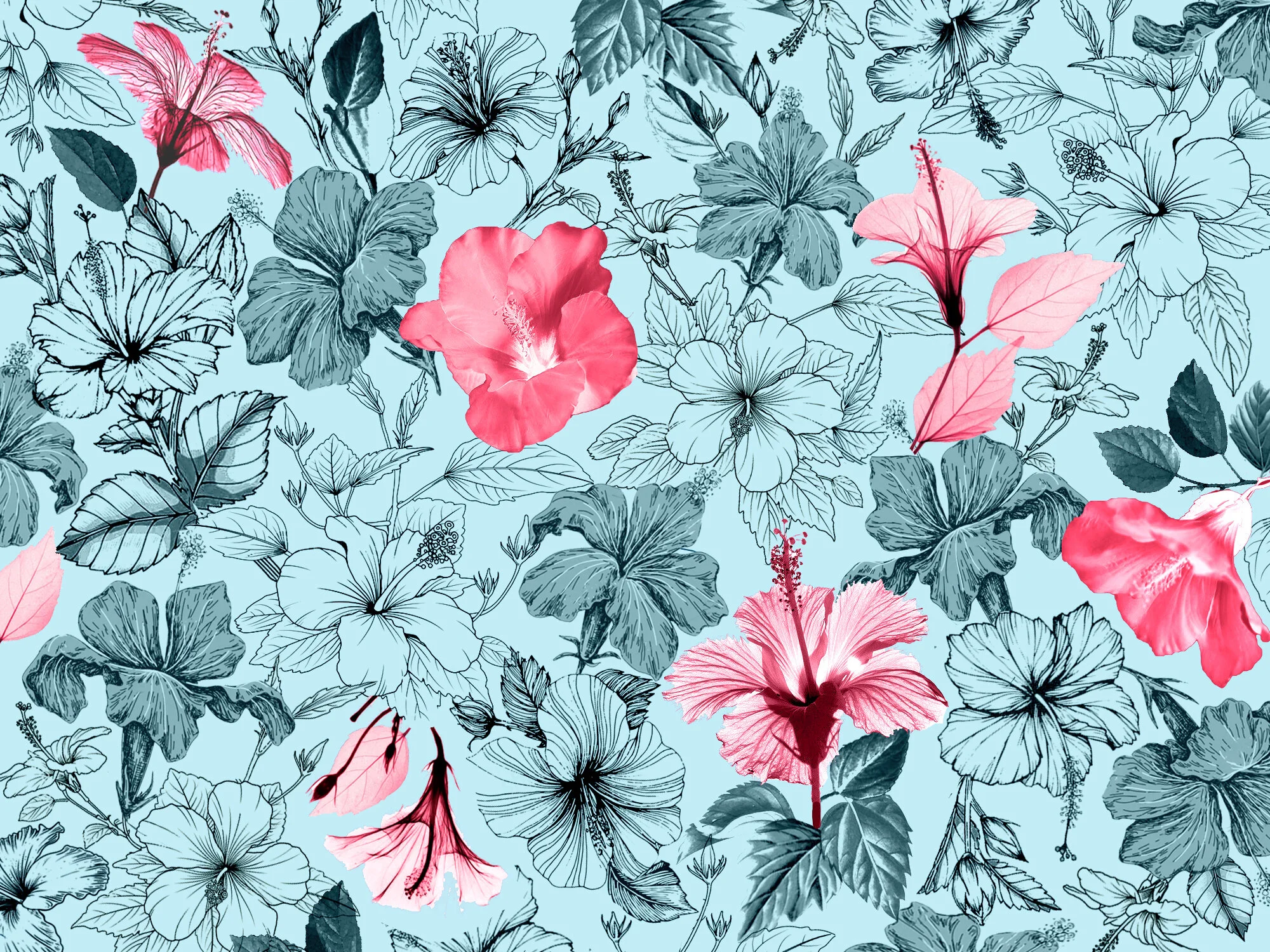 HIBISCUS DIGITAL WALLPAPER