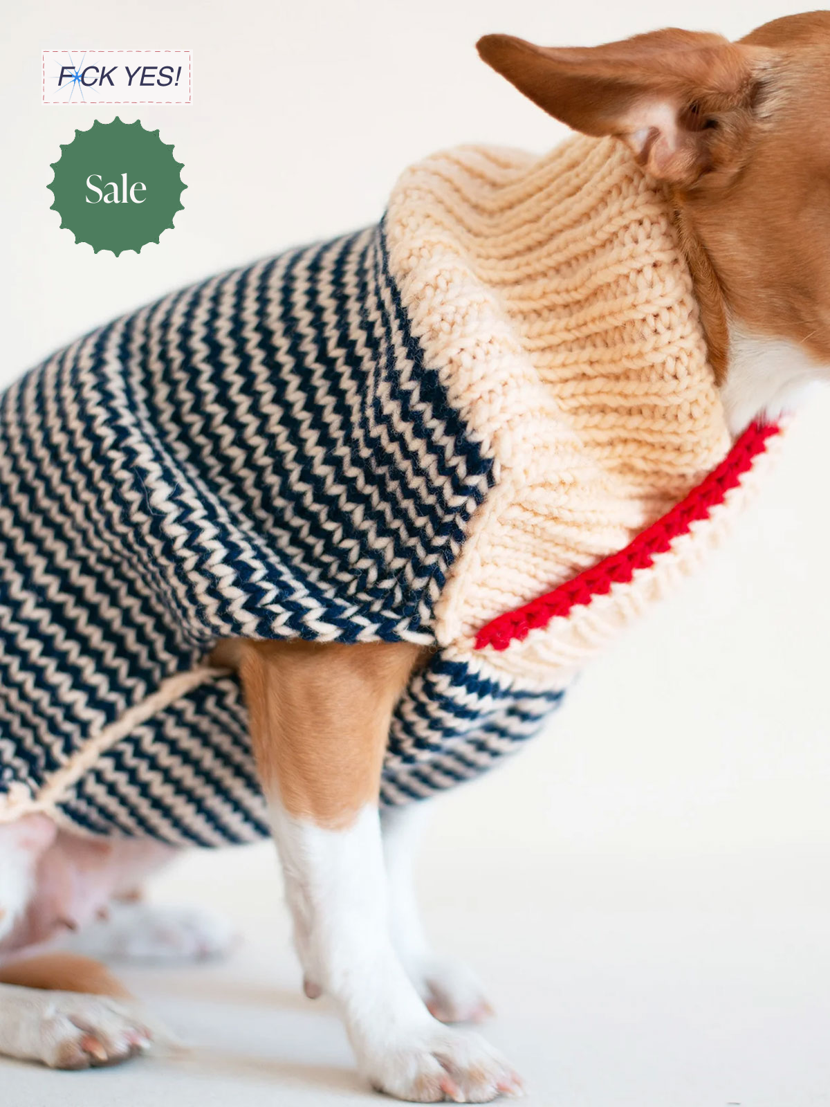 A dog wearing a knitted sweater with a blue, white, and red zigzag pattern and a red trim around the collar.