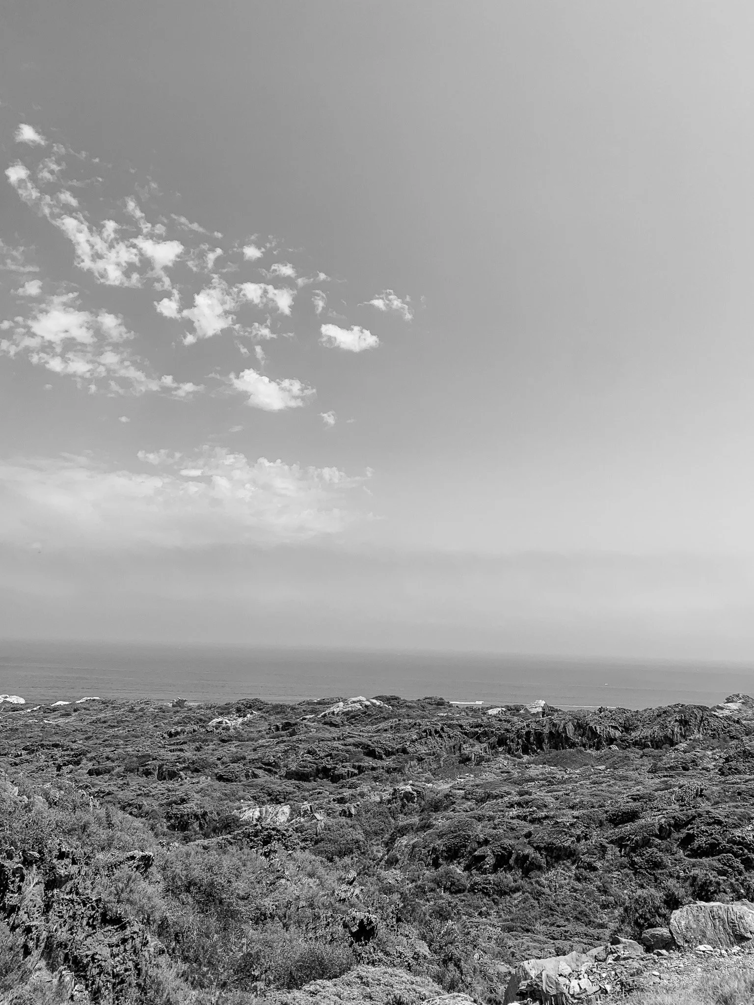IMG_3639.jpg