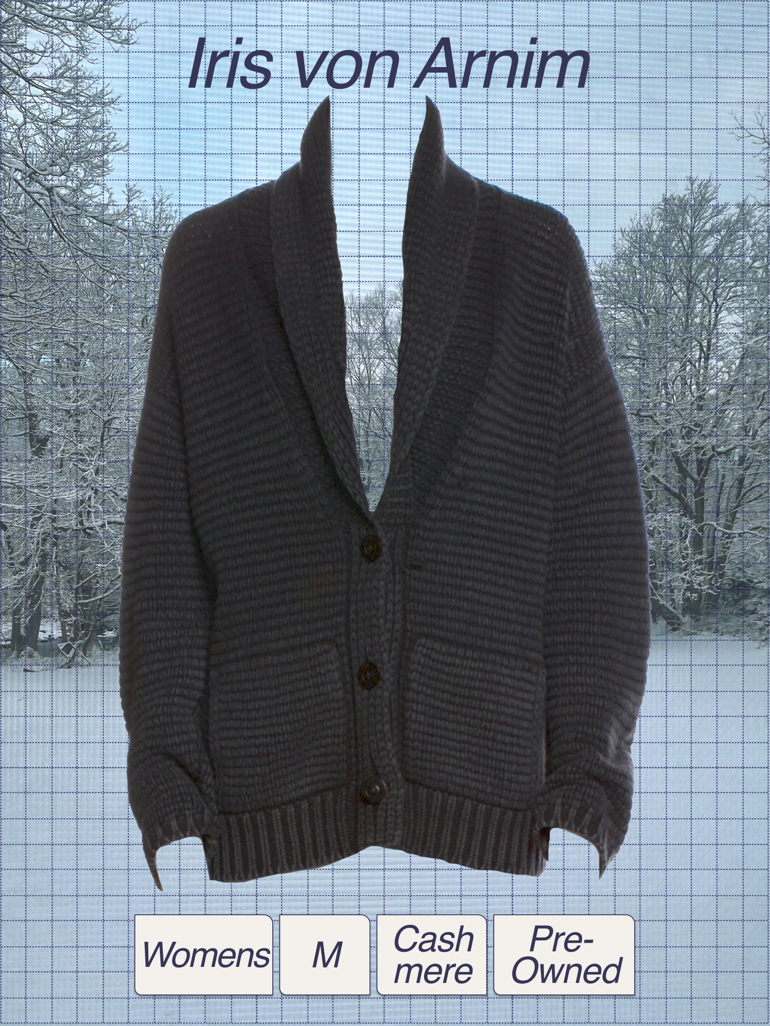 A woman wearing a gray checkered blazer standing outdoors in a snowy landscape with bare trees, with text overlaying the image reading 'Iris von Arnim'.