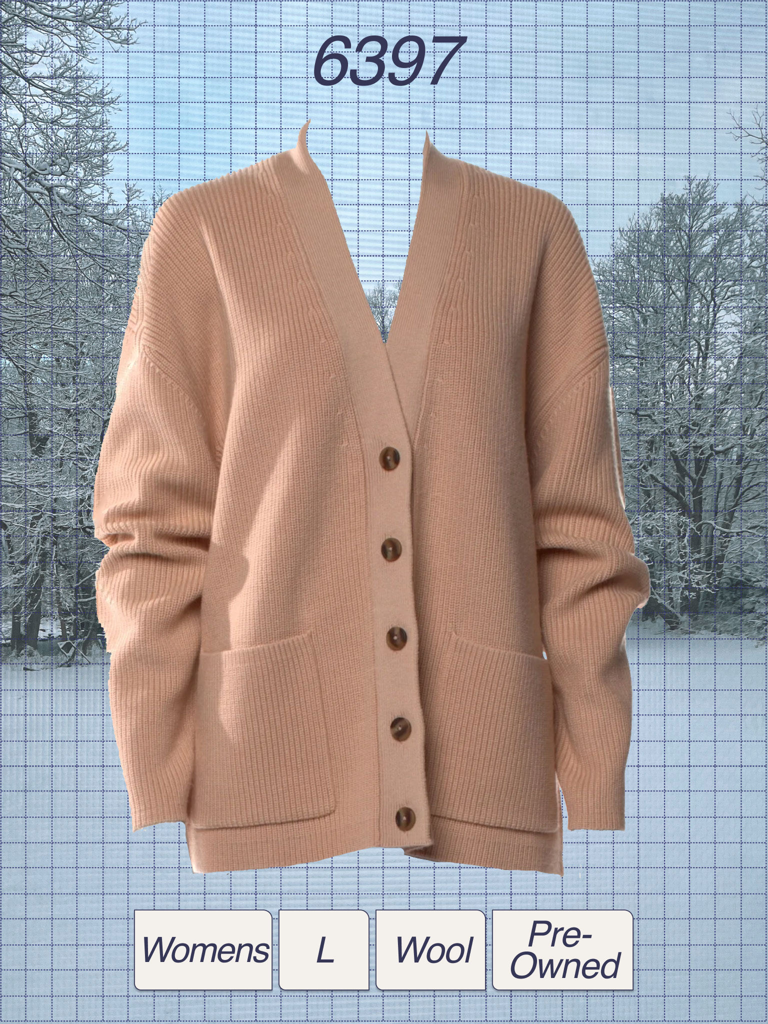 A beige women's wool cardigan with buttons, displayed against a wintery outdoor background with snow on trees.
