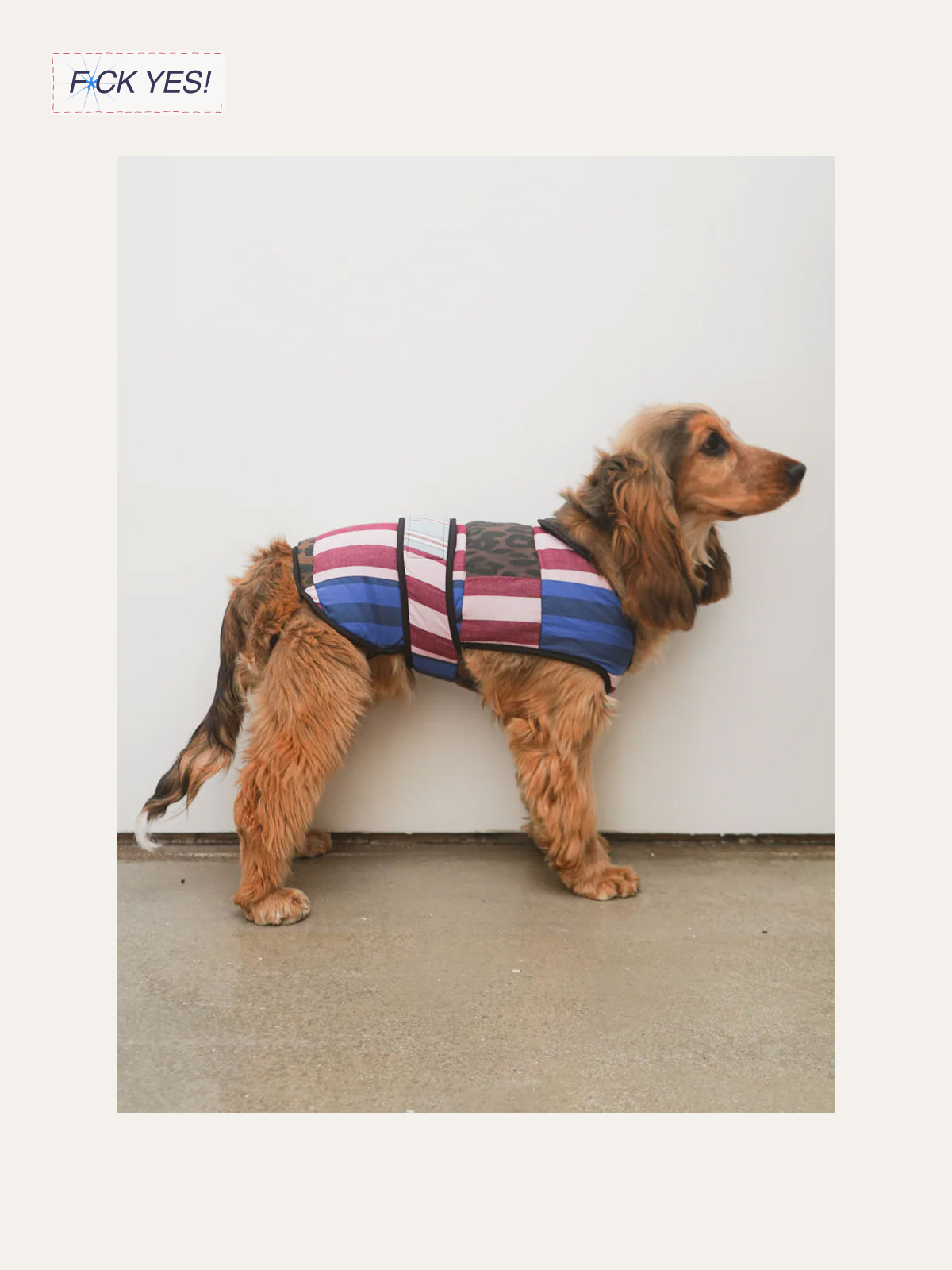 A dog with long ears and golden fur is wearing a vest with American flag colors and patterns, standing against a plain white wall.