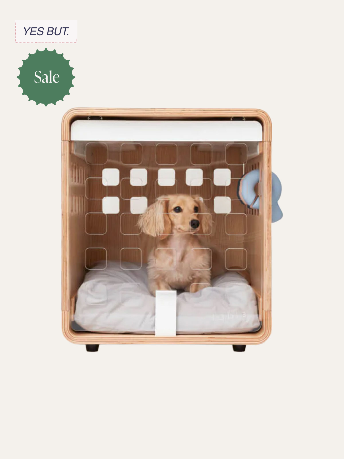 A small dog sitting inside a wooden crate with a white cushion, behind a grid gate.