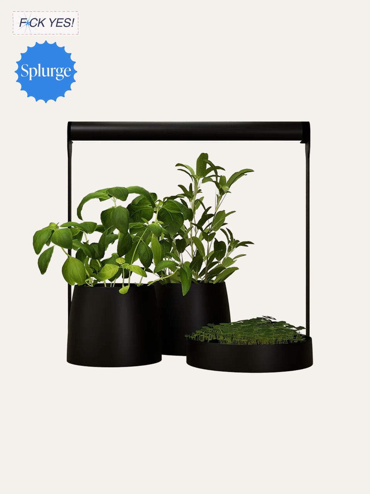 A small indoor plant nursery with a black grow light over three black pots, containing green leafy plants and small seedlings.