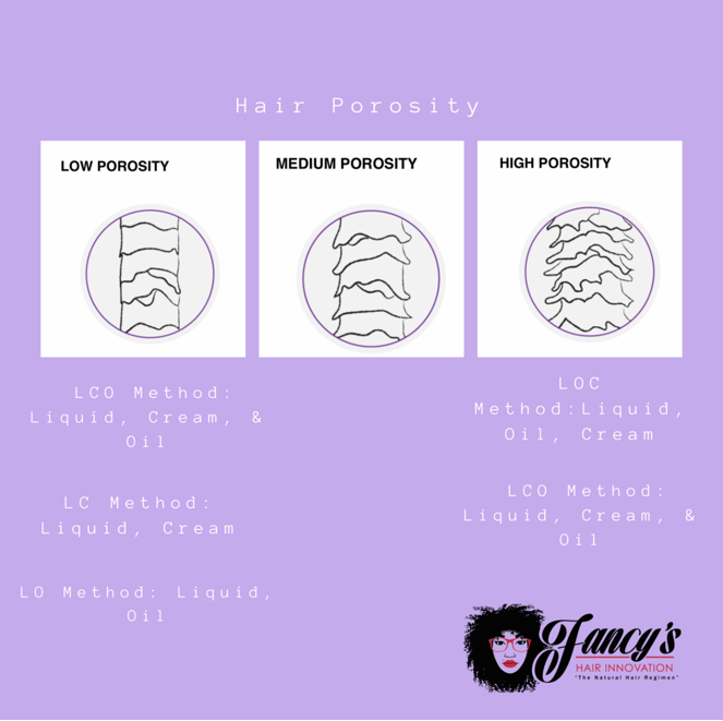 Hair Porosity.png