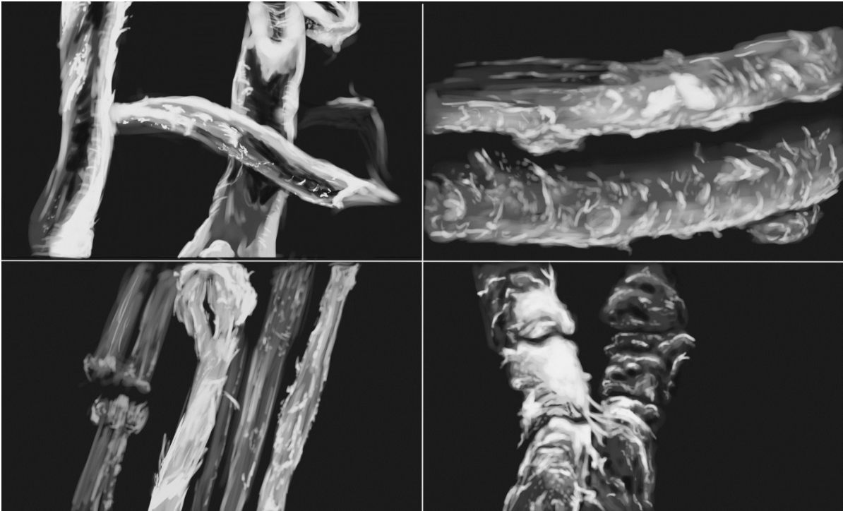 Stopping Time: The Science of Textile Conservation