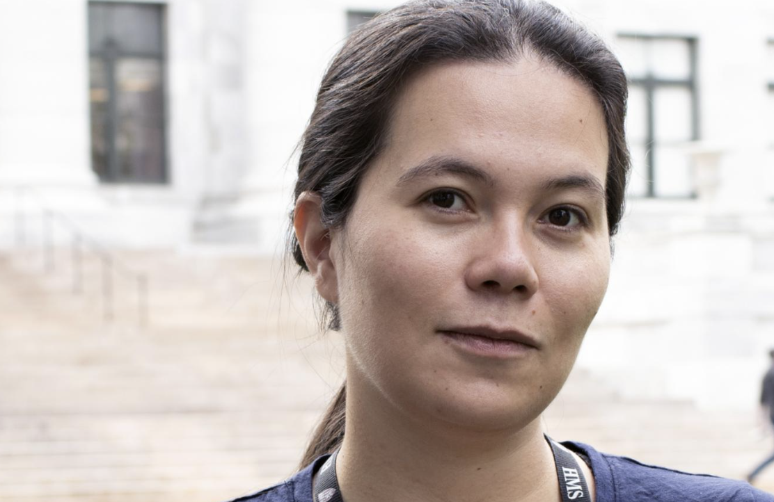 The Mystery of Bacterial Persistence 