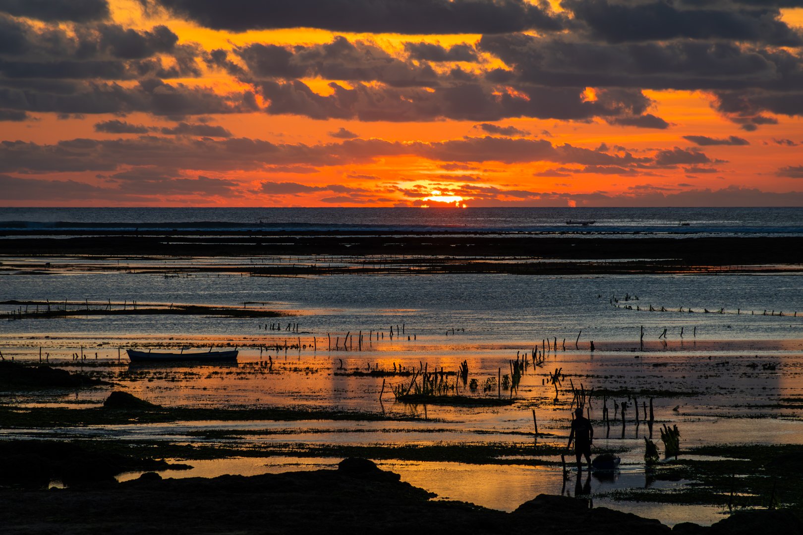 Commended---5---Paul-Gooley---Indonesian-Seaweed-Farmer.jpg