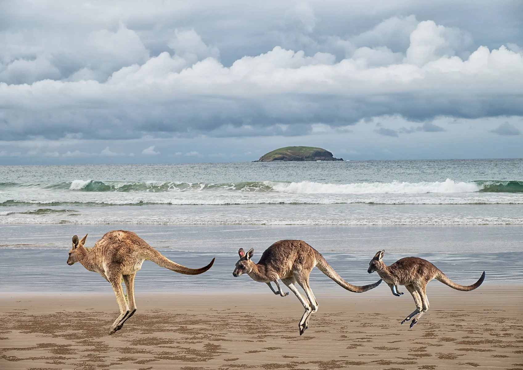 Accepted - 4---Glenda-Robinson---Kangaroos-and-Clouds.jpg