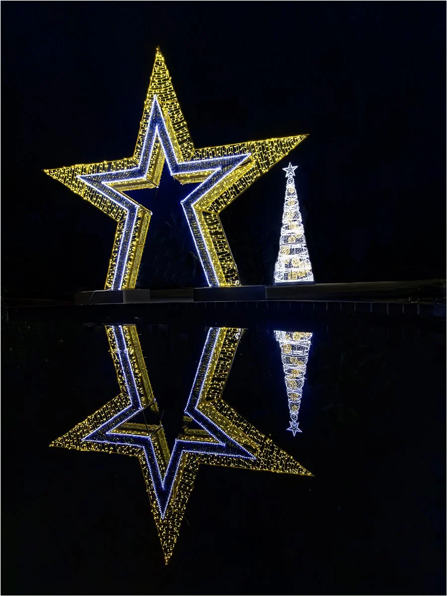 Highly Commended - 6---Gavin-Robbie---Christmas-reflections.jpg