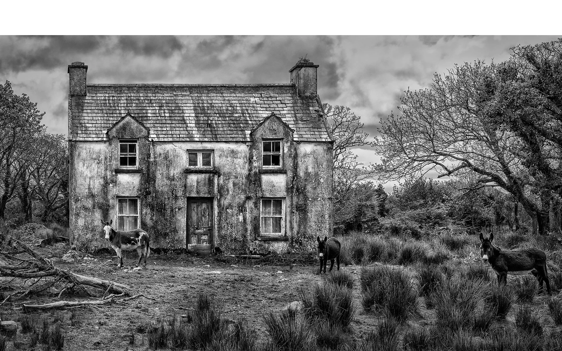 Highly Commended - 6---Andrew-Leach---Caretakers-of-the-forgotten.jpg