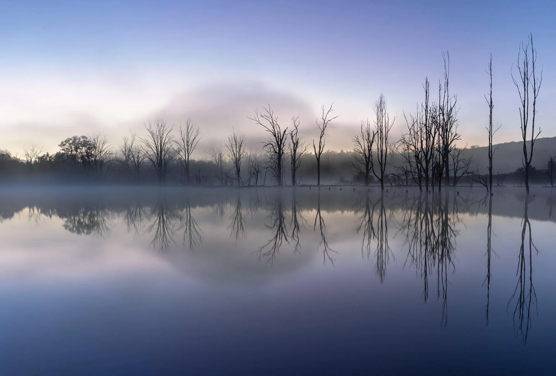 Merit - 8---Dinah-James---Misty-Morning-Reflections.jpg