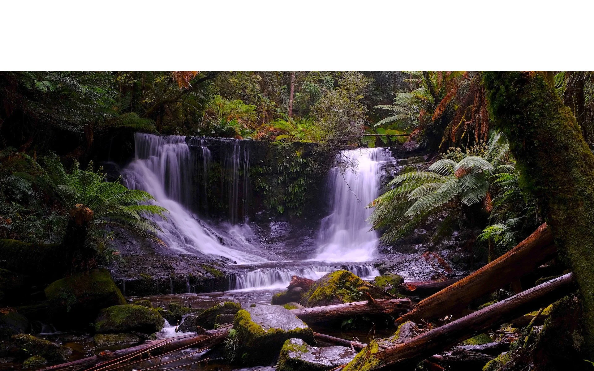 Honours- 9---Ed-Stewart---Horshoe-Falls-2024-Tasmania.jpeg