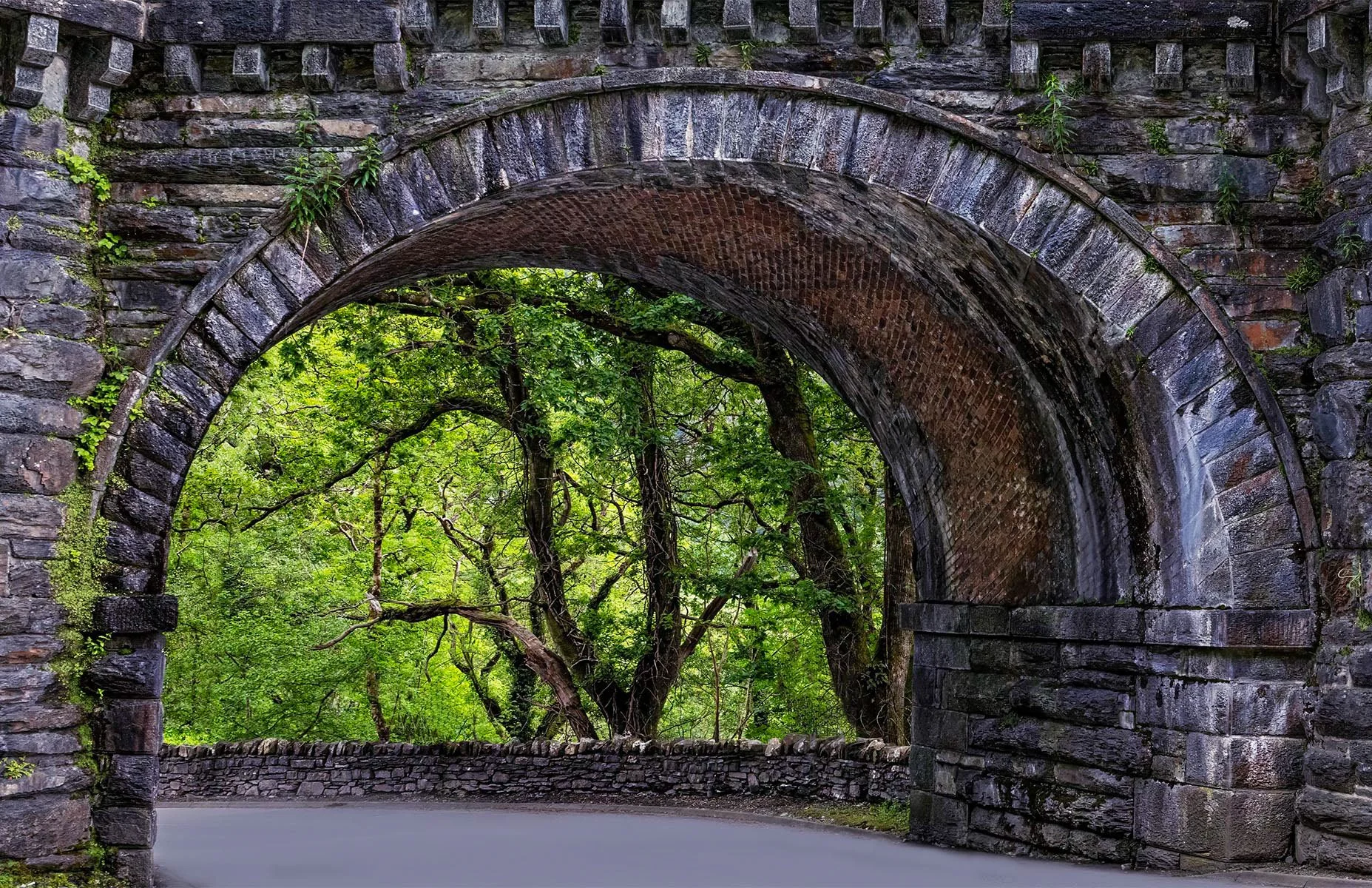Accepted - 4---Dinah-James---Gateway-to-the-Forrest.jpg