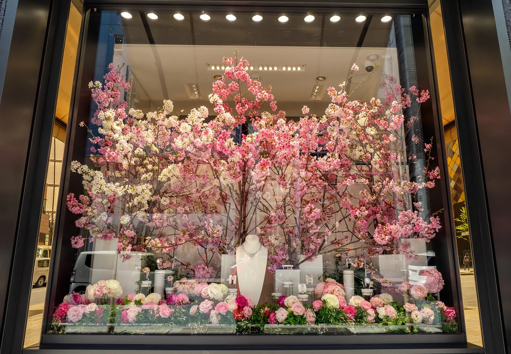 Accepted - 4---Gay-Land---Display-window-with-Reflections.jpg
