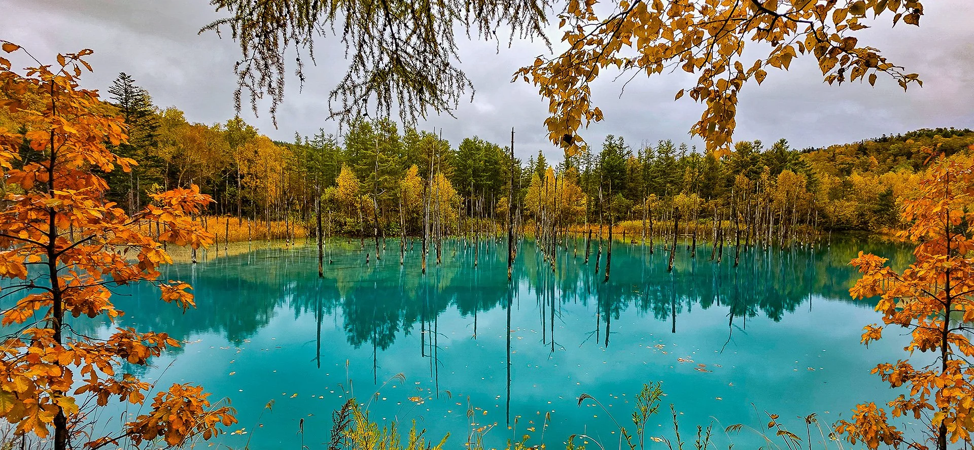 Commended - 5---Kaye-Venton---Blue-Pool.jpg